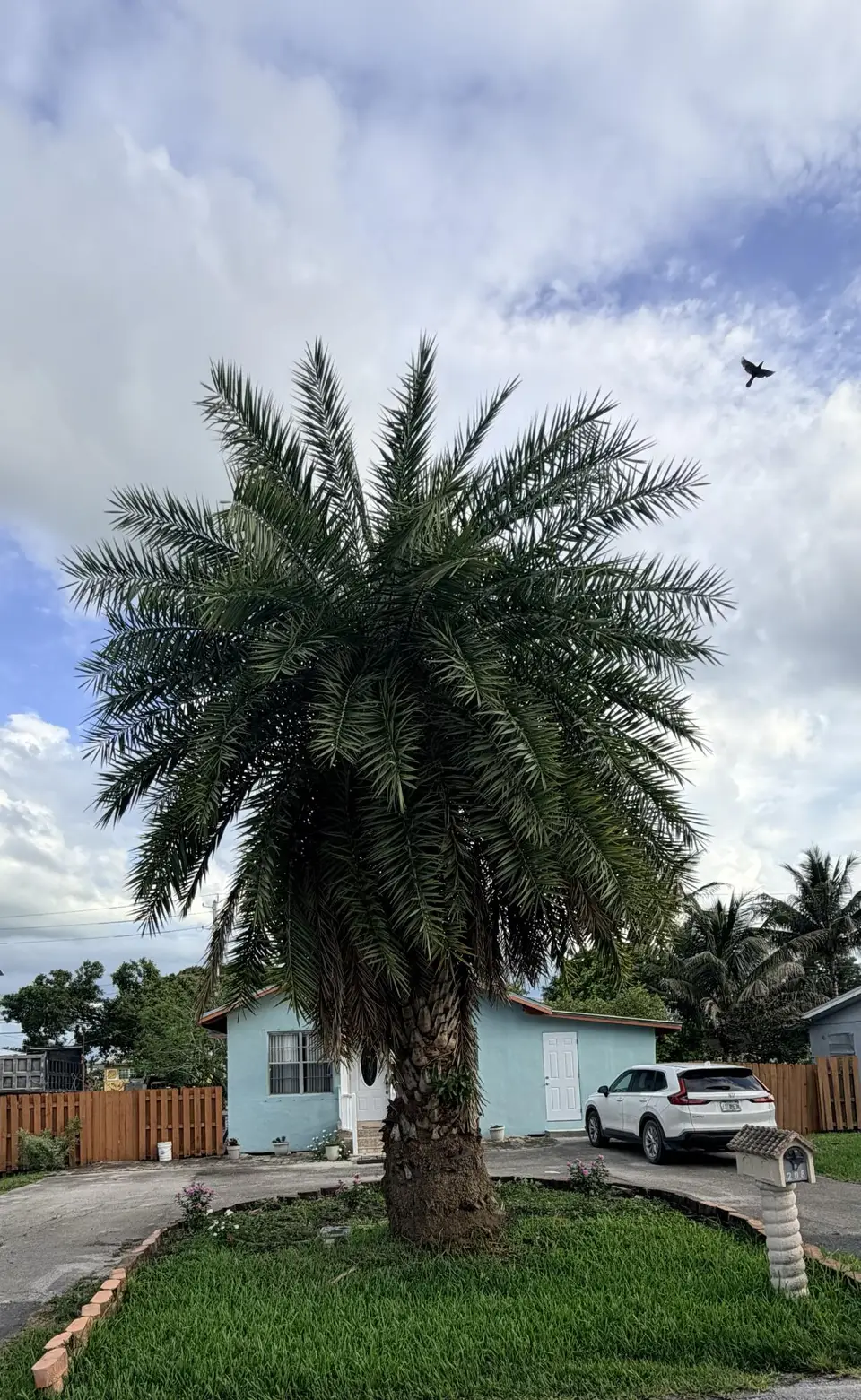 208 NW Avenue H Place, Belle Glade, FL 33430 Belle Glade