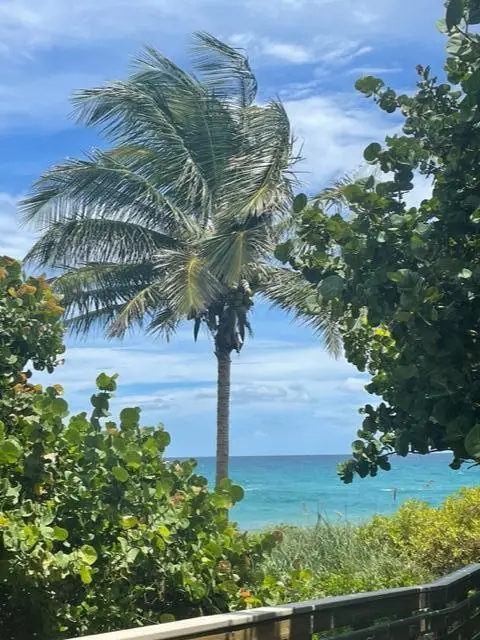291 Mercury Road 2, Juno Beach, FL 33408