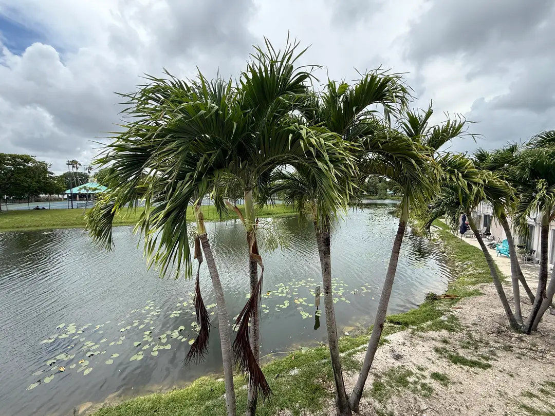 4100 NW 16th Avenue 11, Oakland Park, FL 33309