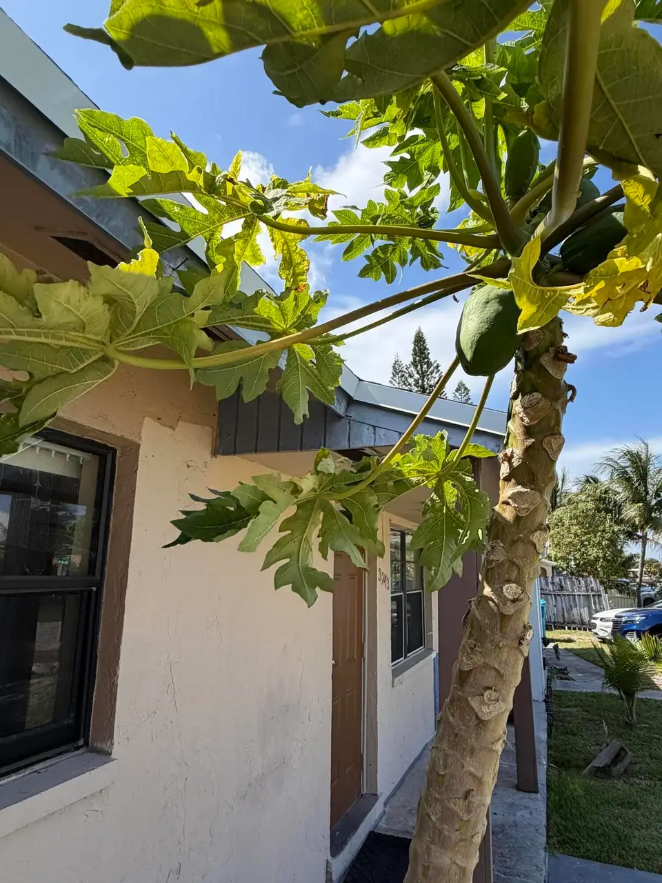 3243 Grove Road, Boynton Beach, FL 33435