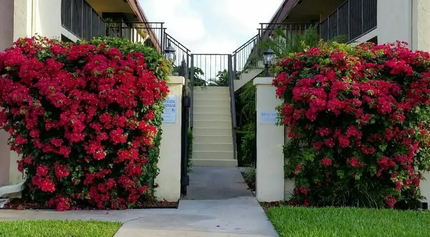 120 N M Street L, Lake Worth Beach, FL 33460