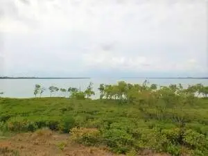 27 HARBOUR ISLE Drive W 305, Fort Pierce, FL 34949