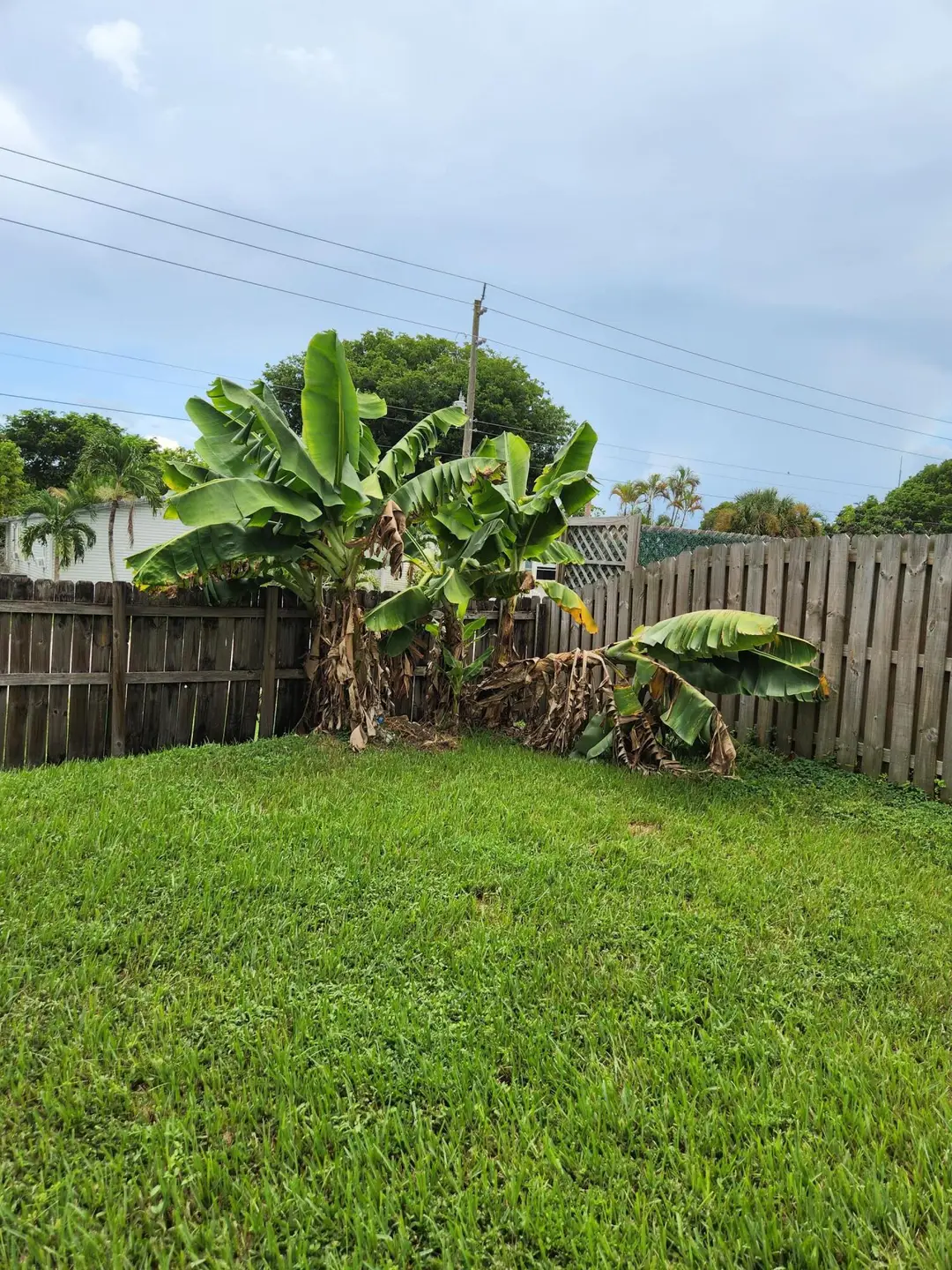 1000 SW 133RD Terrace, Davie, FL 33325