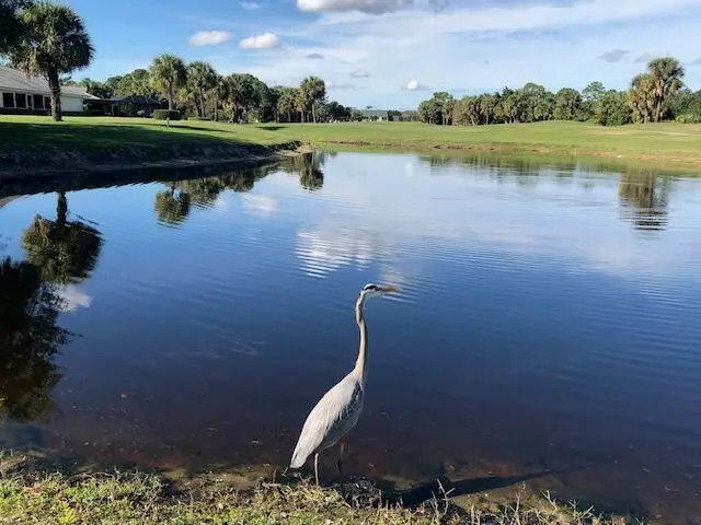 4225 Gator Trace Avenue, Fort Pierce, FL 34982