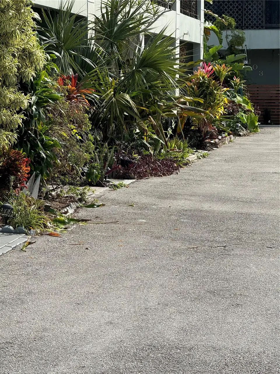 2452 Taylor Street 204, Hollywood, FL 33020